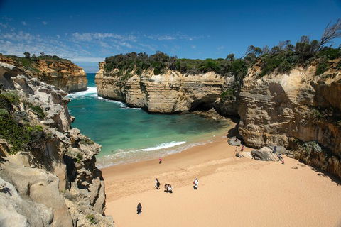 LGBT+ Friendly 12-Hour Great Ocean Road Private Tour - Redcliffe Tourism 5