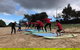 Group Surfing Lessons Kool Katz 1 Day - thumb 2