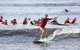 Group Surfing Lessons Kool Katz 1 Day - thumb 5