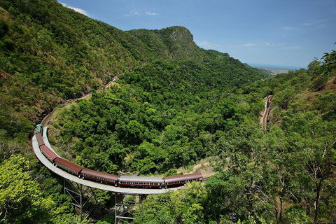 Skyrail Rainforest Cableway Day Trip From Cairns - Redcliffe Tourism 5