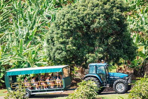 Northern Rivers Full Day Wine Tour - Redcliffe Tourism 1