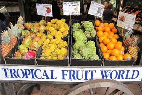 Northern Rivers Full Day Wine Tour - Redcliffe Tourism 3