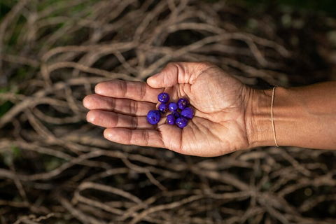 Cape Byron Aboriginal Tour - Redcliffe Tourism 0