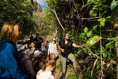 Cape Byron Aboriginal Tour - Redcliffe Tourism 4
