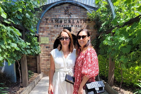 Hideaway Private Tours Hunter Valley- Indulgence Wine Tour (Full Day) - Redcliffe Tourism 5