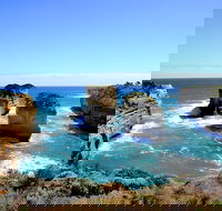 Great Ocean Road Small-Group Ecotour from Melbourne - Redcliffe Tourism