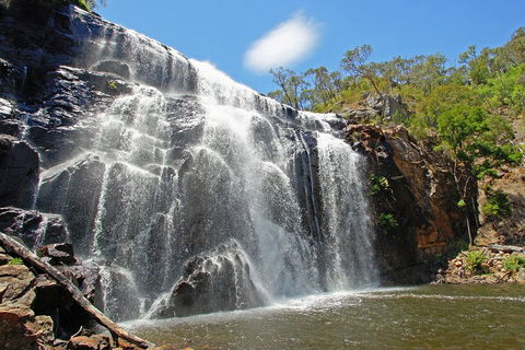 Grampians National Park Small-Group Eco Tour From Melbourne - Redcliffe Tourism 0