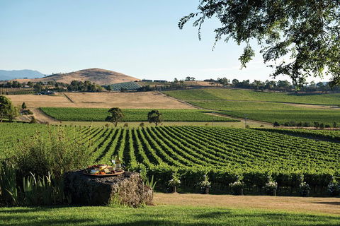 Small Group 6 Guests: Ultimate Yarra Valley Food And Wine - Mercedes Van - Redcliffe Tourism 4