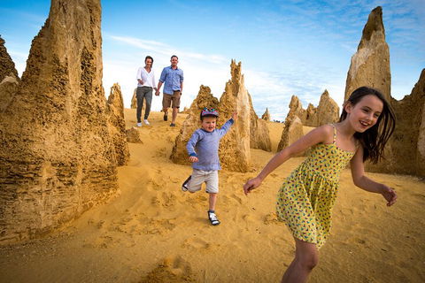 Full-Day Pinnacles Desert And Yanchep National Park Tour From Perth - Redcliffe Tourism 0