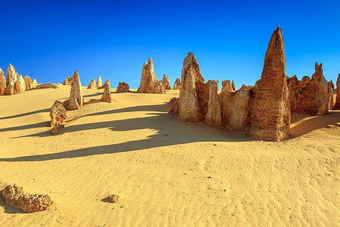 Full-Day Pinnacles Desert And Yanchep National Park Tour From Perth - Redcliffe Tourism 2