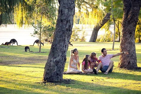 Full-Day Pinnacles Desert And Yanchep National Park Tour From Perth - Redcliffe Tourism 3