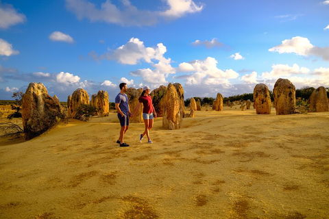 Full-Day Pinnacles Desert And Yanchep National Park Tour From Perth - Redcliffe Tourism 4