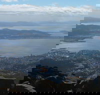 Mt Wellington Tour and MONA Admission - Redcliffe Tourism