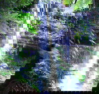 Mt Field National Park and Russell Falls from Hobart - Redcliffe Tourism