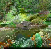 Hobart Half-Day Sightseeing Coach Tram Tour - Redcliffe Tourism