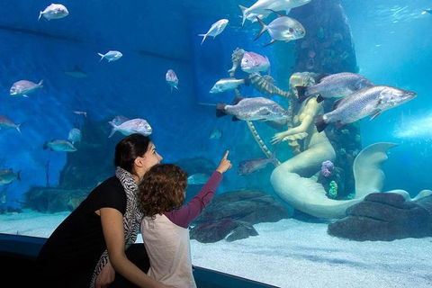 SEA LIFE Melbourne Aquarium Admission Ticket - Redcliffe Tourism 4