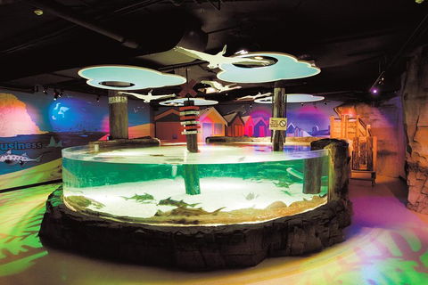 SEA LIFE Melbourne Aquarium Admission Ticket - Redcliffe Tourism 5