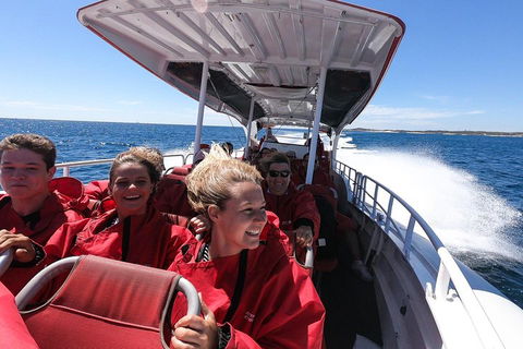 Adventure Rottnest Tour With Ferry & Adventure Cruise From Perth Or Fremantle - Redcliffe Tourism 0