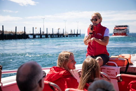 Adventure Rottnest Tour With Ferry & Adventure Cruise From Perth Or Fremantle - Redcliffe Tourism 4