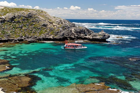 Adventure Rottnest Tour With Ferry & Adventure Cruise From Perth Or Fremantle - Redcliffe Tourism 5