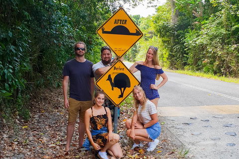 Cape Tribulation, Daintree Rainforest And Wildlife Tour - Redcliffe Tourism 0
