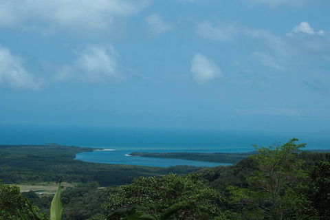 Cape Tribulation, Daintree Rainforest And Wildlife Tour - Redcliffe Tourism 1