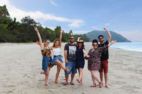 Cape Tribulation, Daintree Rainforest And Wildlife Tour - Redcliffe Tourism 4