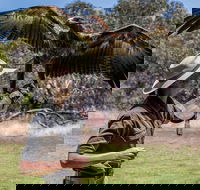 One Day Kangaroo Island Sip  See tour with return ferry transfers from Adelaide - Redcliffe Tourism