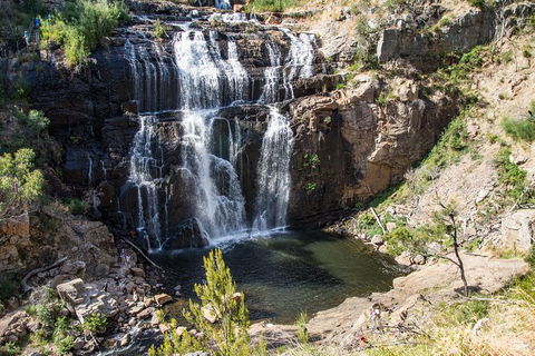 Great Ocean Road Grampians 3 Day National Park Tour Melbourne Roundtrip - Redcliffe Tourism 2