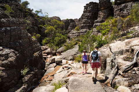 3-Day Melbourne To Adelaide Small-Group Tour Via Great Ocean Road Grampians - Redcliffe Tourism 2