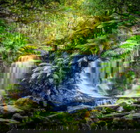 Day Tour in Mt. Field Mt. Wellington Bonorong Wildlife Sanctuary and Richmond - Redcliffe Tourism