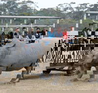 Off-Road Safari at Werribee Open Range Zoo - Redcliffe Tourism