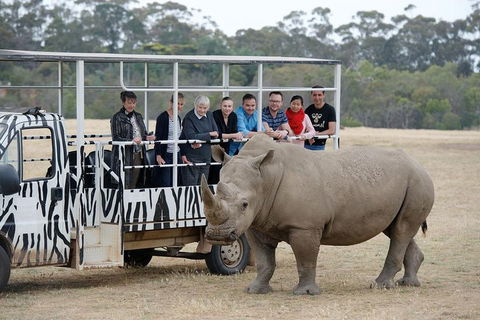 Off-Road Safari At Werribee Open Range Zoo - Redcliffe Tourism 0