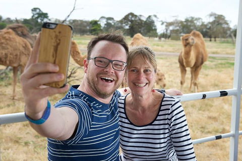 Off-Road Safari At Werribee Open Range Zoo - Redcliffe Tourism 1