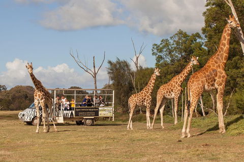 Off-Road Safari At Werribee Open Range Zoo - Redcliffe Tourism 3