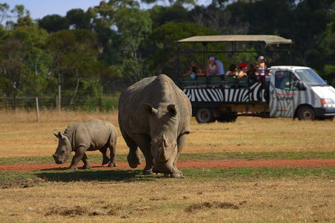Off-Road Safari At Werribee Open Range Zoo - Redcliffe Tourism 5