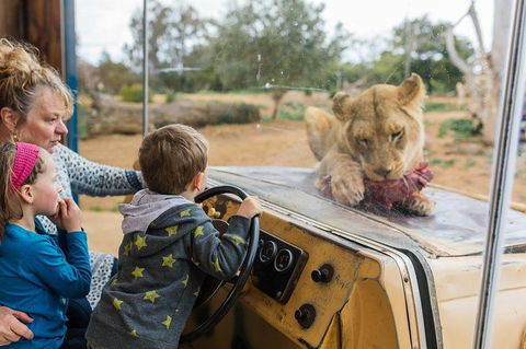 Werribee Open Range Zoo General Admission Ticket - Redcliffe Tourism 4