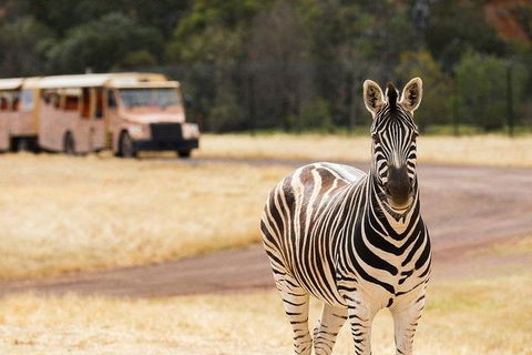 Werribee Open Range Zoo General Admission Ticket - Redcliffe Tourism 5