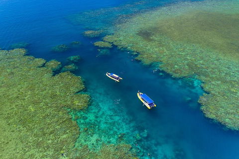 Great Barrier Reef Scenic Flight And Ocean Rafting Whitehaven Beach Day Trip - Redcliffe Tourism 4