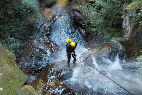 Full-Day Canyoning Experience At Stunning Empress Canyon - Redcliffe Tourism 4