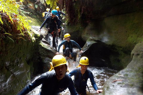 Full-Day Canyoning Experience At Stunning Empress Canyon - Redcliffe Tourism 5
