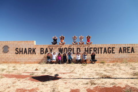 6-Day Coral Coaster From Perth To Exmouth One-Way Via Monkey Mia Ningaloo Reef - Redcliffe Tourism 4