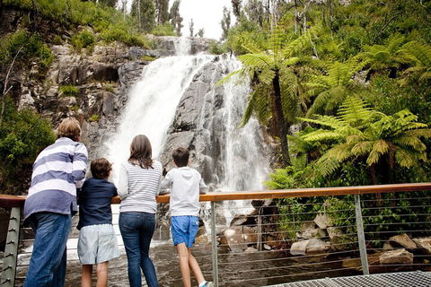 Lake Mountain Snow Trip Including Yarra Valley Chocolaterie From Melbourne - Redcliffe Tourism 0