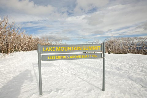 Lake Mountain Snow Trip Including Yarra Valley Chocolaterie From Melbourne - Redcliffe Tourism 3