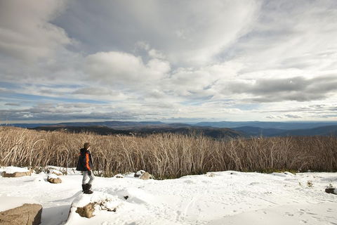 Lake Mountain Snow Trip Including Yarra Valley Chocolaterie From Melbourne - Redcliffe Tourism 5
