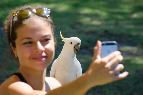 Small-Group Great Ocean Road Experience And Surf Coast Tour - Redcliffe Tourism 3