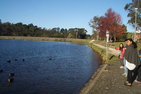 PRIVATE All-Day Blue Mountains Tour With Professional Guide For Up To 4 People - Redcliffe Tourism 2