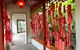 Chinese Garden General Admission Ticket - thumb 2