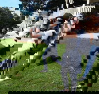 Smartphone  Camera Photography Basics - Redcliffe Tourism