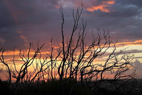 Sydney Harbour, Northern Beaches And National Park - Redcliffe Tourism 4